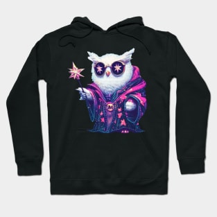 Fantasy owl wizard Hoodie